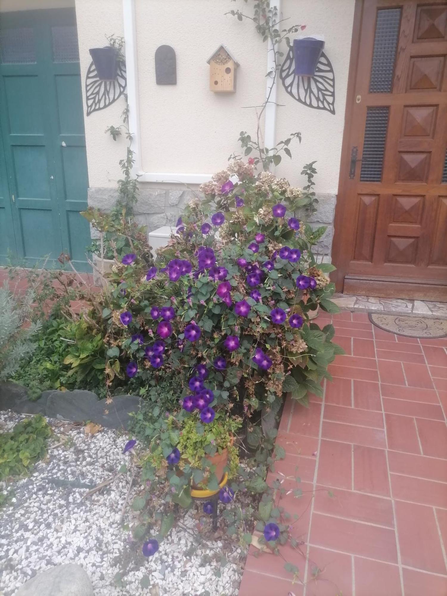 Maison Du Soleil Prades  Exteriör bild